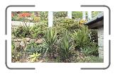 04 mimack theater tuin * 1152 x 648 * (381KB)
